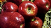 عراق بزرگترین مشتری سیب ایرانی