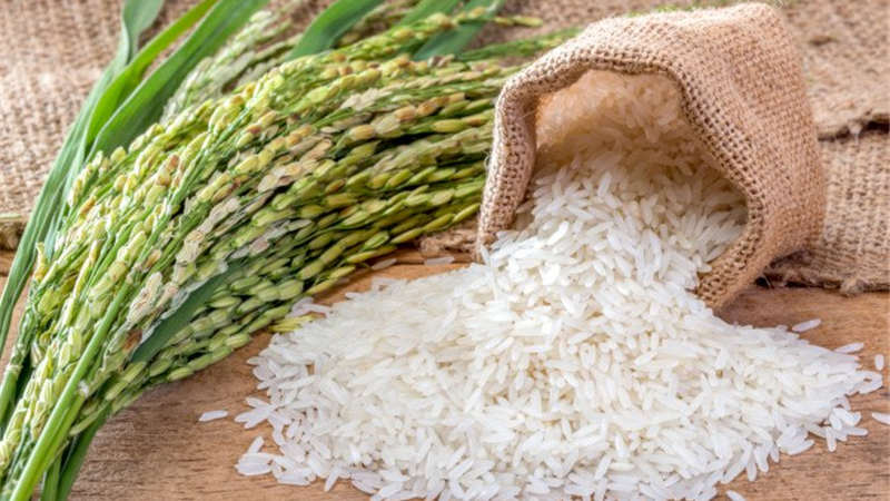 رفع محدودیت‌های واردات برنج