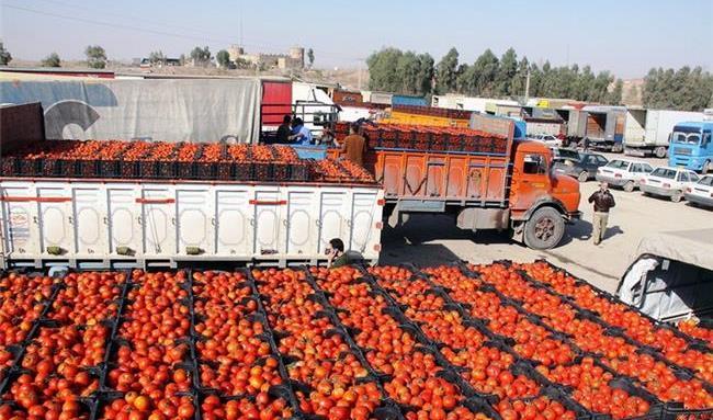 تمدید عوارض ۷۰ درصدی صادرات گوجه فرنگی  + سند