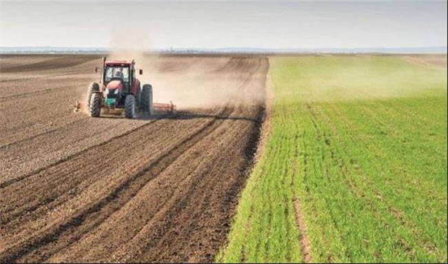 حمایت مالی و علمی هلند از بخش کشاورزی اقلیم کردستان 