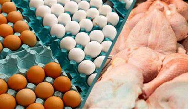 صادرات مرغ و تخم‌مرغ به کویت آزاد شد