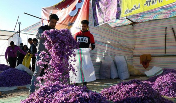 راه‌اندازی گمرک تخصصی زعفران در خراسان شمالی