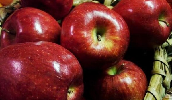 عراق بزرگترین مشتری سیب ایرانی