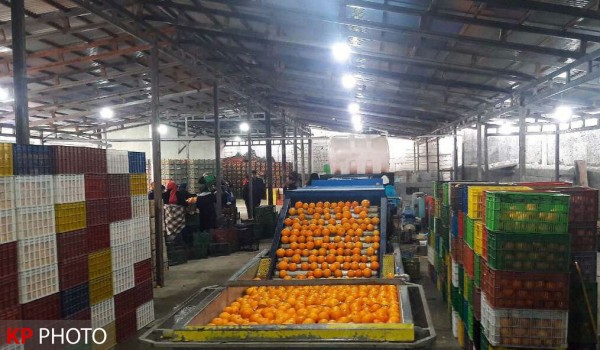 راه اندازی پایانه مرزی صادرات محصولات کشاورزی در کردستان