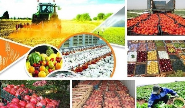 راه اندازی پایانه صادرات محصولات کشاورزی در مریوان