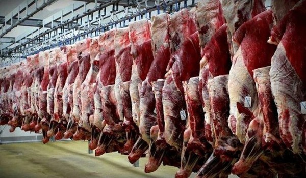 توقف صادرات گوشت قرمز از ایلام