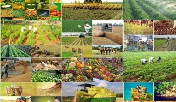 صادرات محصولات کشاورزی در سال آینده با کد رهگیری
