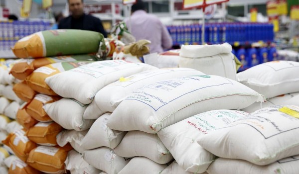 واردات برنج خارجی قیمت برنج را به شدت کاهش می دهد ؟