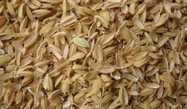 ضوابط صادرات شلتوک برنج + سند