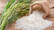 رفع محدودیت‌های واردات برنج