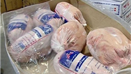 آغاز صادرات مرغ از ایلام به عراق