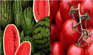 عراق  ۱۰۰ میلیون دلار گوجه و هندوانه از ایران خرید / صادرات فولاد به عراق در رتبه نخست