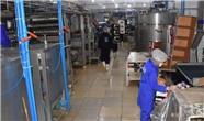 افزایش صدور مجوز و تاسیس واحدهای صنعتی در سلیمانیه