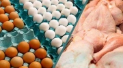 عراق واردات مرغ و تخم مرغ را ممنوع می کند