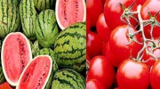 هندوانه و گوجه فرنگی در صدر صادرات کشاورزی ایران