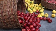 حذف عوارض صادرات سیب به اقلیم کردستان عراق
