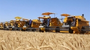 سرمایه گذاری 3 میلیون دلار امارات در یک پروژه کشاورزی کردستان عراق