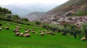کرمانشاه در فصل بهار از بهترین مقاصد گردشگری کشور است