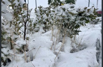 اولین برف زمستانی در حاجی عمران اقلیم کردستان عراق